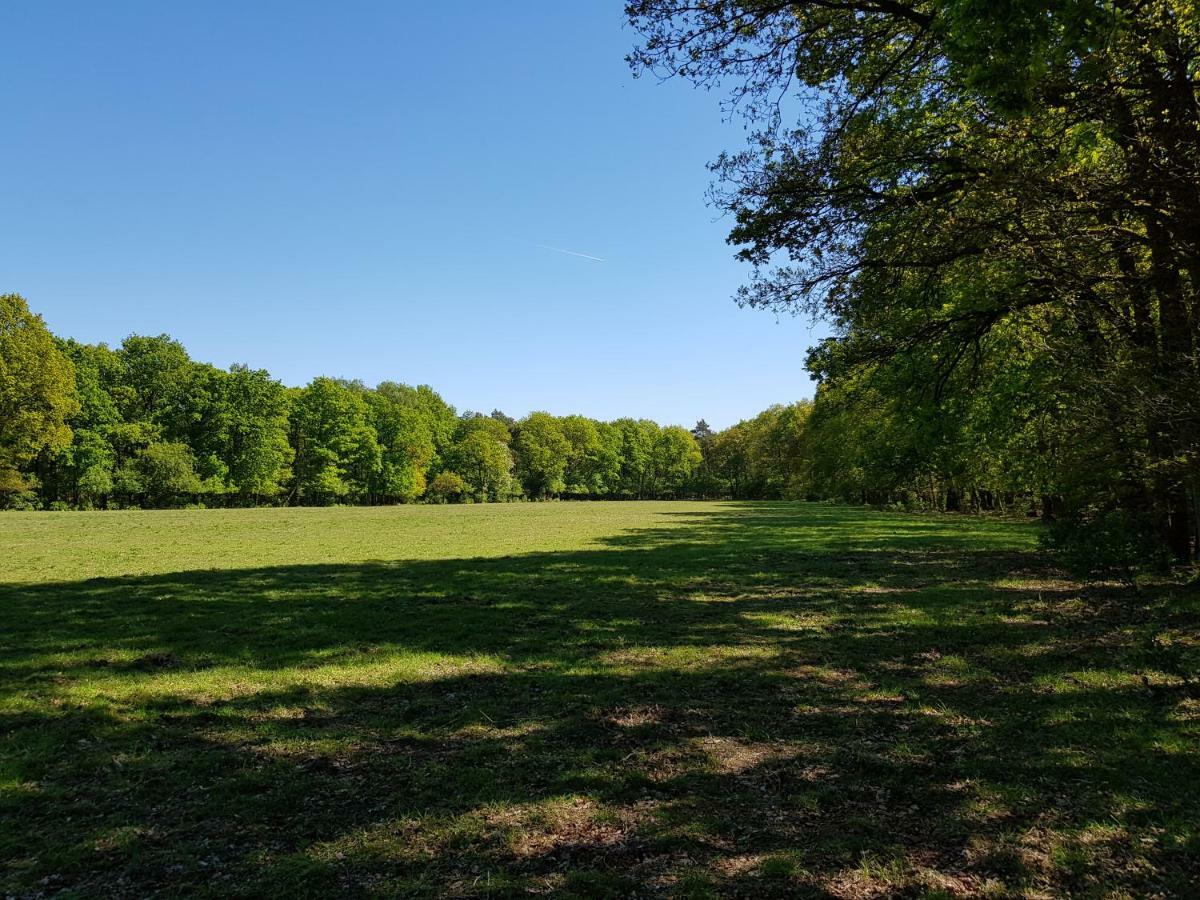 Knusse Bungalow Otterlo Veluwe エクステリア 写真