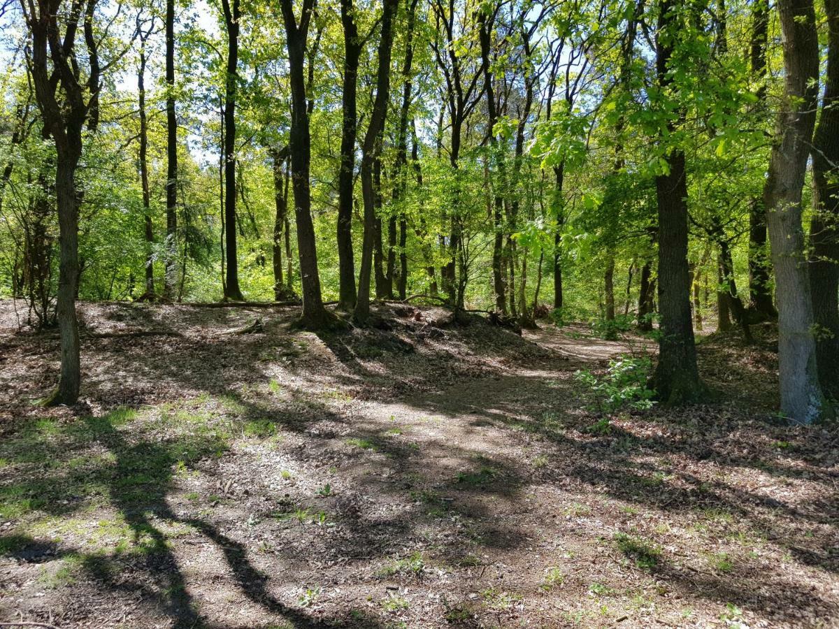 Knusse Bungalow Otterlo Veluwe エクステリア 写真