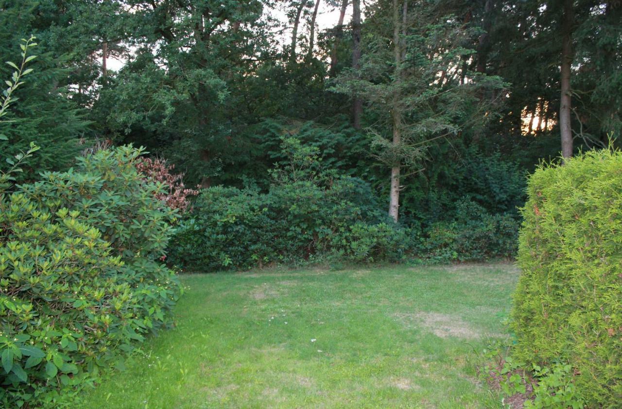 Knusse Bungalow Otterlo Veluwe エクステリア 写真