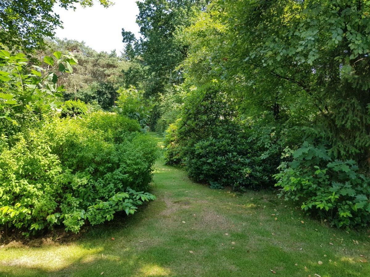 Knusse Bungalow Otterlo Veluwe エクステリア 写真